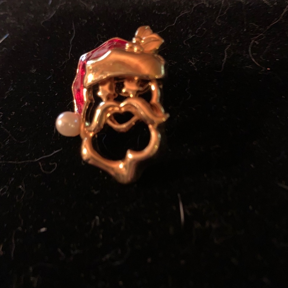 Seasonal Pin - Picture 2 of 3